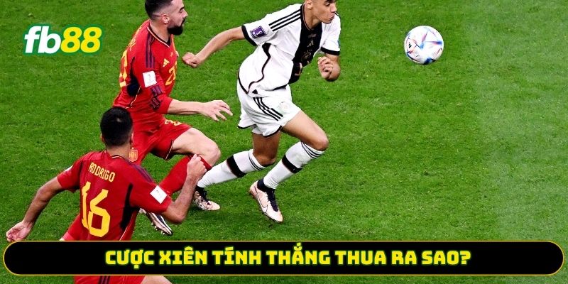 Cược xiên tính thắng thua ra sao? 