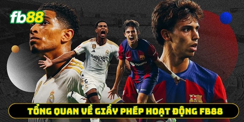 Tổng quan về giấy phép hoạt động FB88