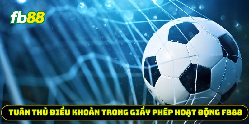 Tuân thủ điều khoản trong giấy phép hoạt động FB88