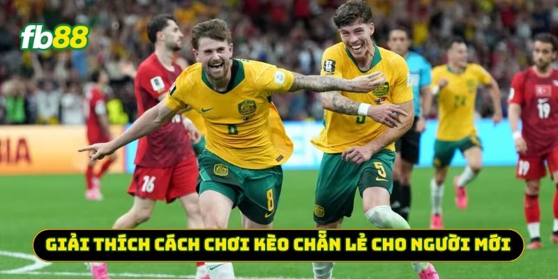 Giải thích cách chơi Kèo Chẵn Lẻ cho người mới