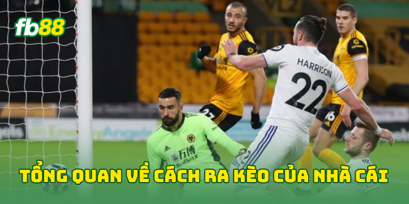 Tổng quan về Cách Ra Kèo Của Nhà Cái